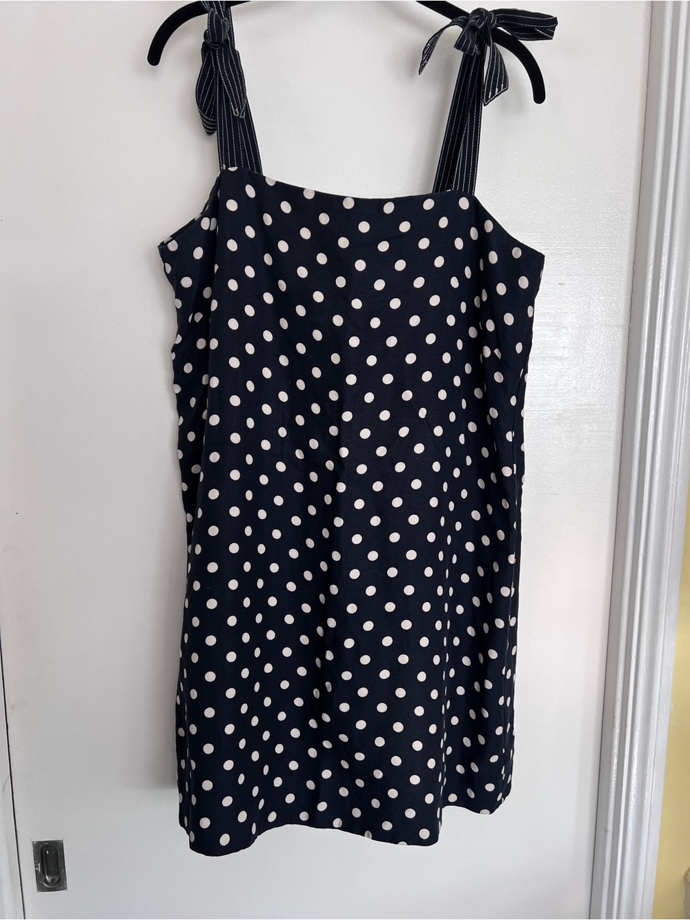 J. Crew Navy and White Polka Dot Dress